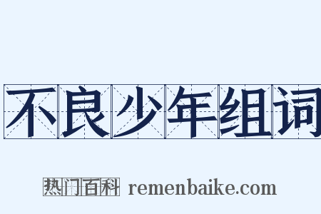 不良少年组词是什么意思的图片